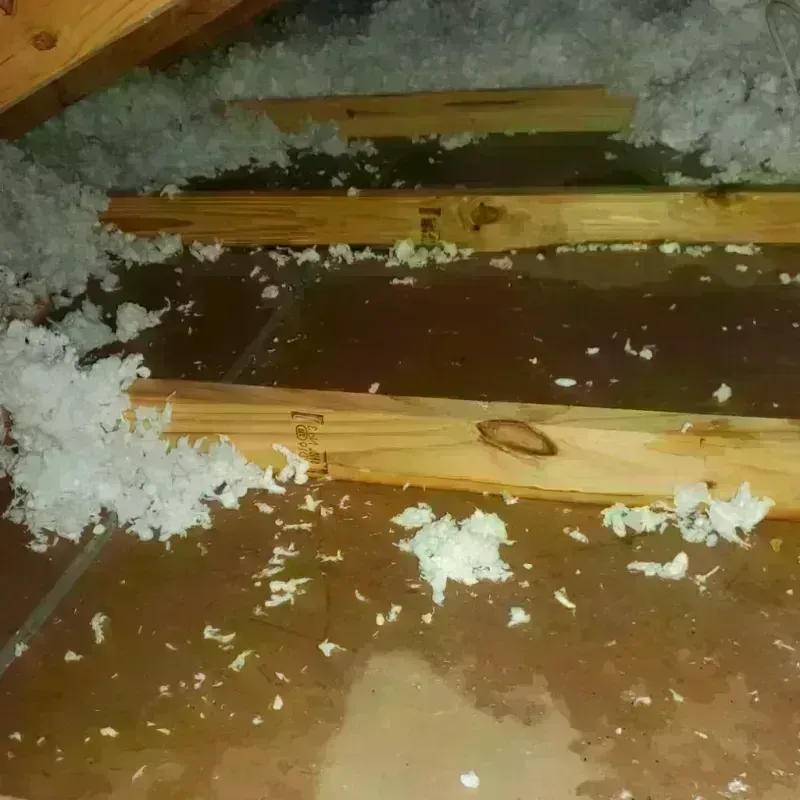 Attic Water Damage in South Bay, FL