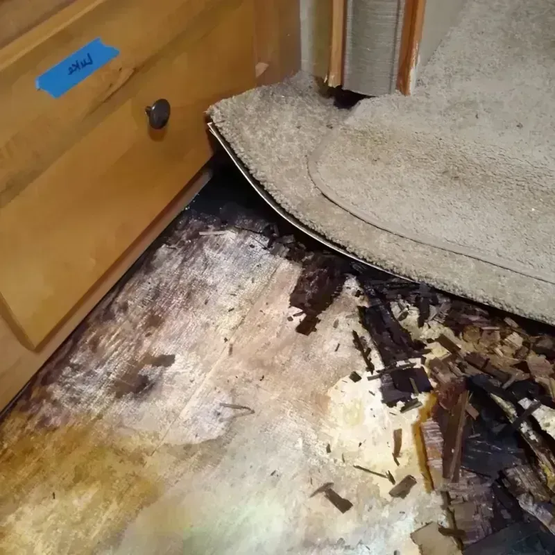 Wood Floor Water Damage in South Bay, FL